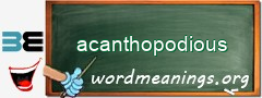 WordMeaning blackboard for acanthopodious